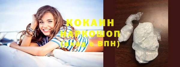 гидра Богданович