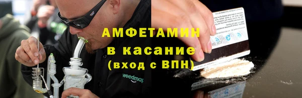 гидра Богданович