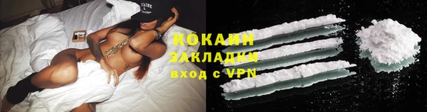 гидра Богданович