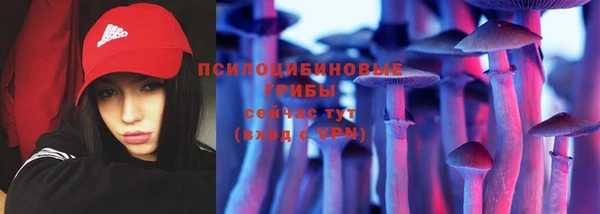 гидра Богданович
