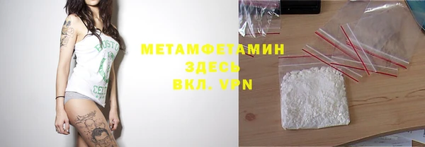 гидра Богданович