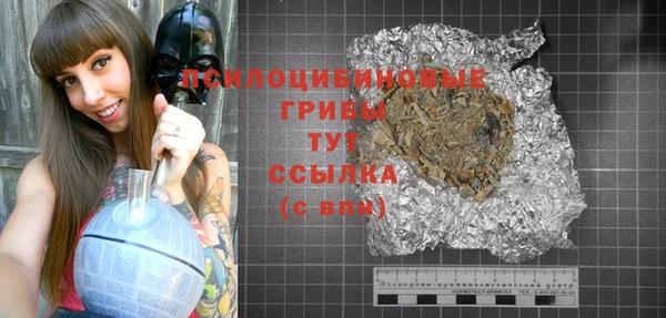 хмурый Богородицк