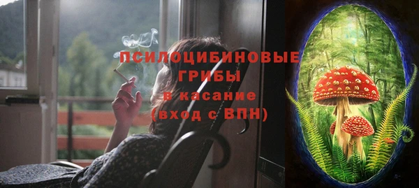 хмурый Богородицк